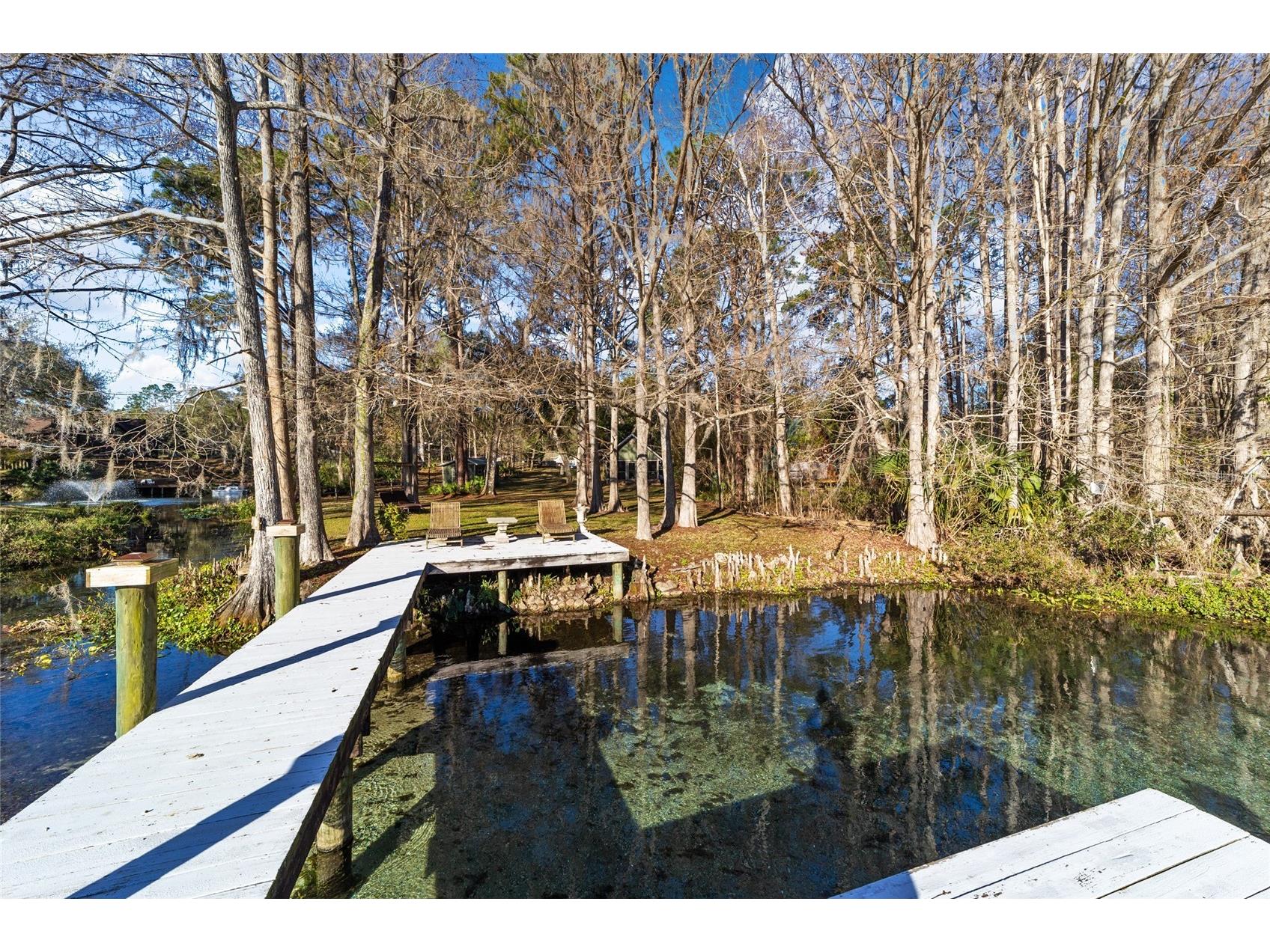 10801 SW 185th Terrace Dunnellon FL 34432 - RAINBOW RIVER TB8418268 image8