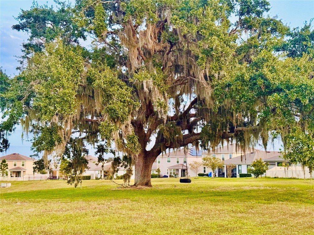 10801 Tally Fawn Loop San Antonio FL 33576 TB8442219 image26