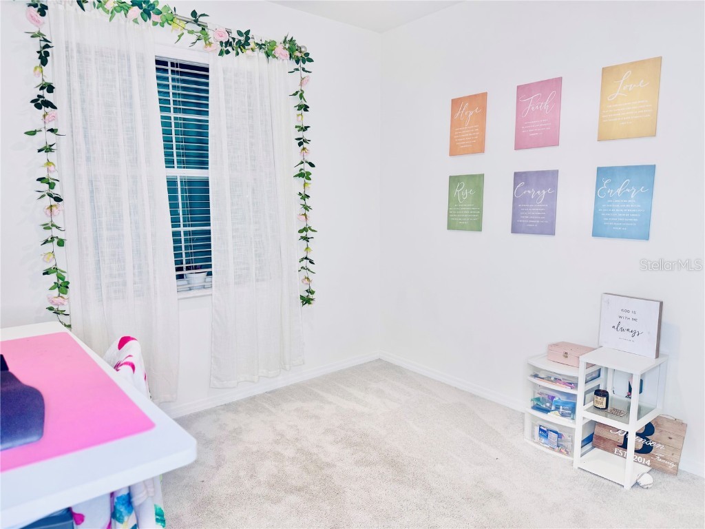 10801 Tally Fawn Loop San Antonio FL 33576 TB8442219 image8