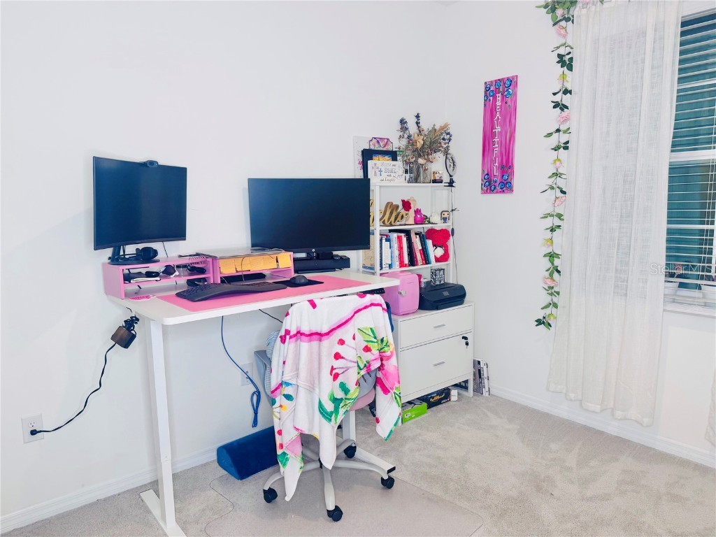 10801 Tally Fawn Loop San Antonio FL 33576 TB8442219 image9