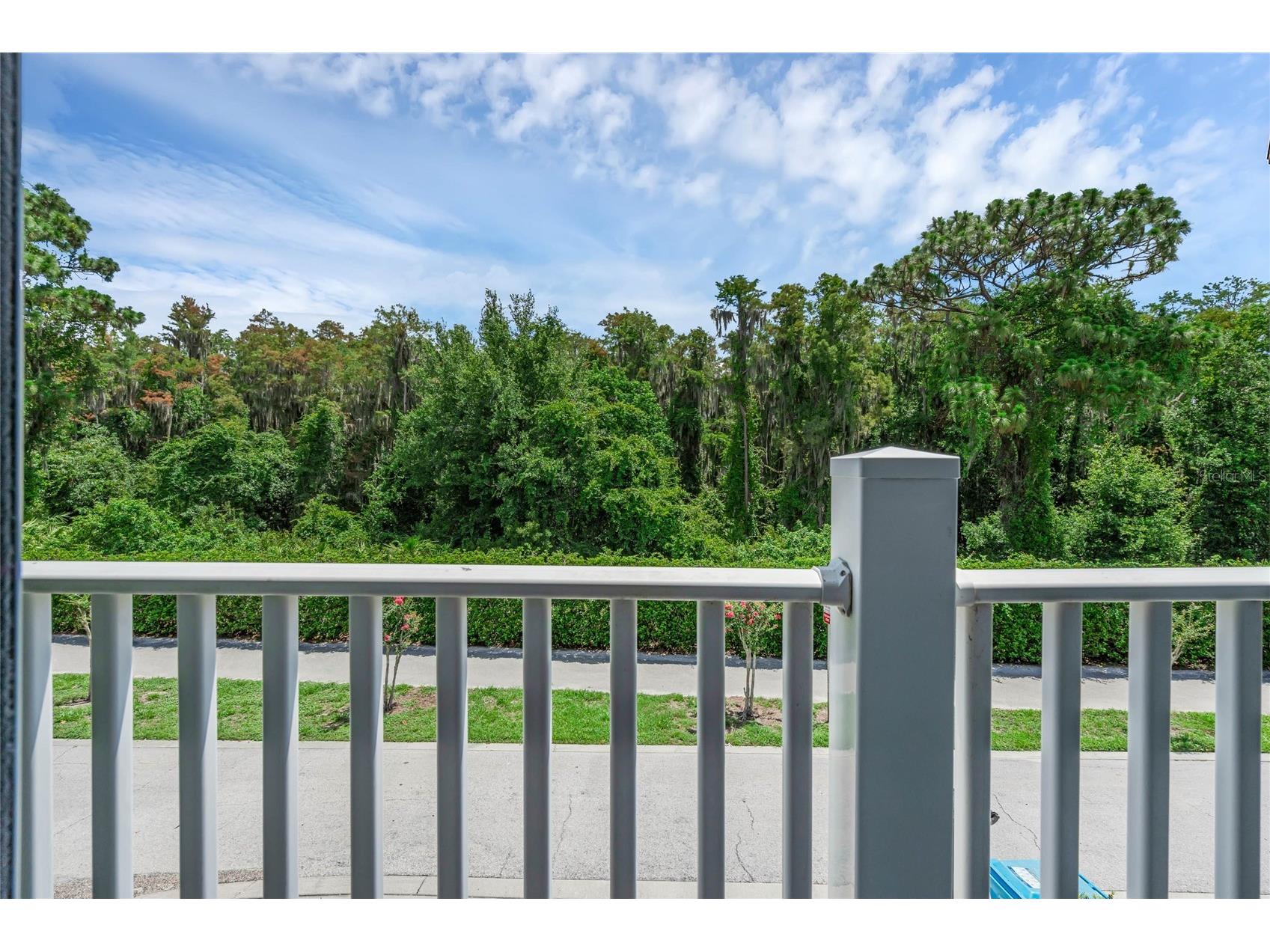 10802 Eclipse Lily Way #50A Orlando FL 32832 S5144082 image25
