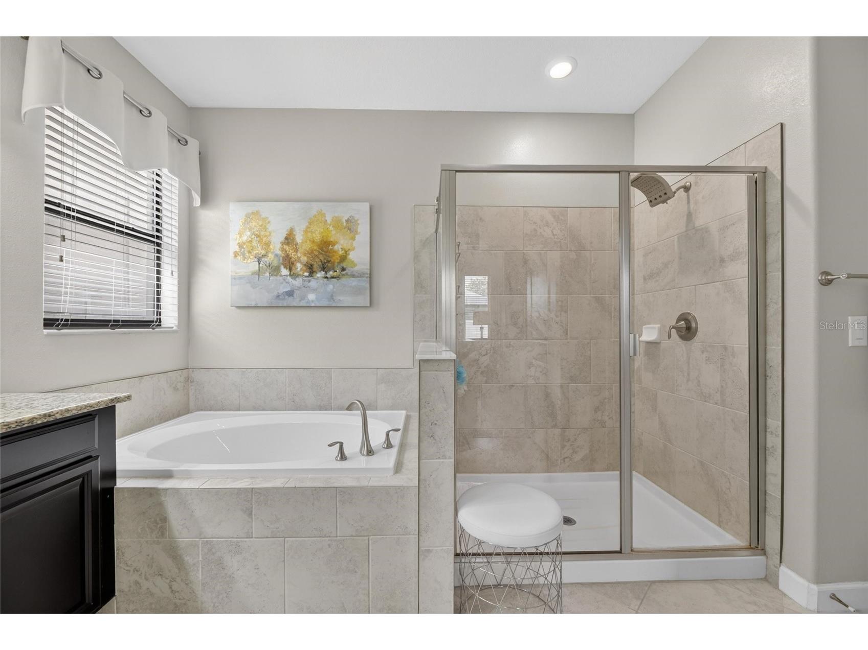 10802 Great Cormorant Drive Riverview FL 33579 TB8513069 image21