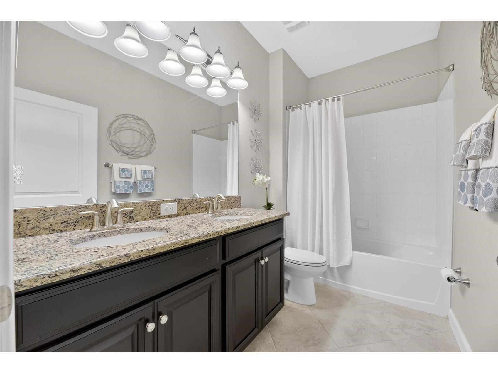 10802 Great Cormorant Drive Riverview FL 33579 TB8513069 image27