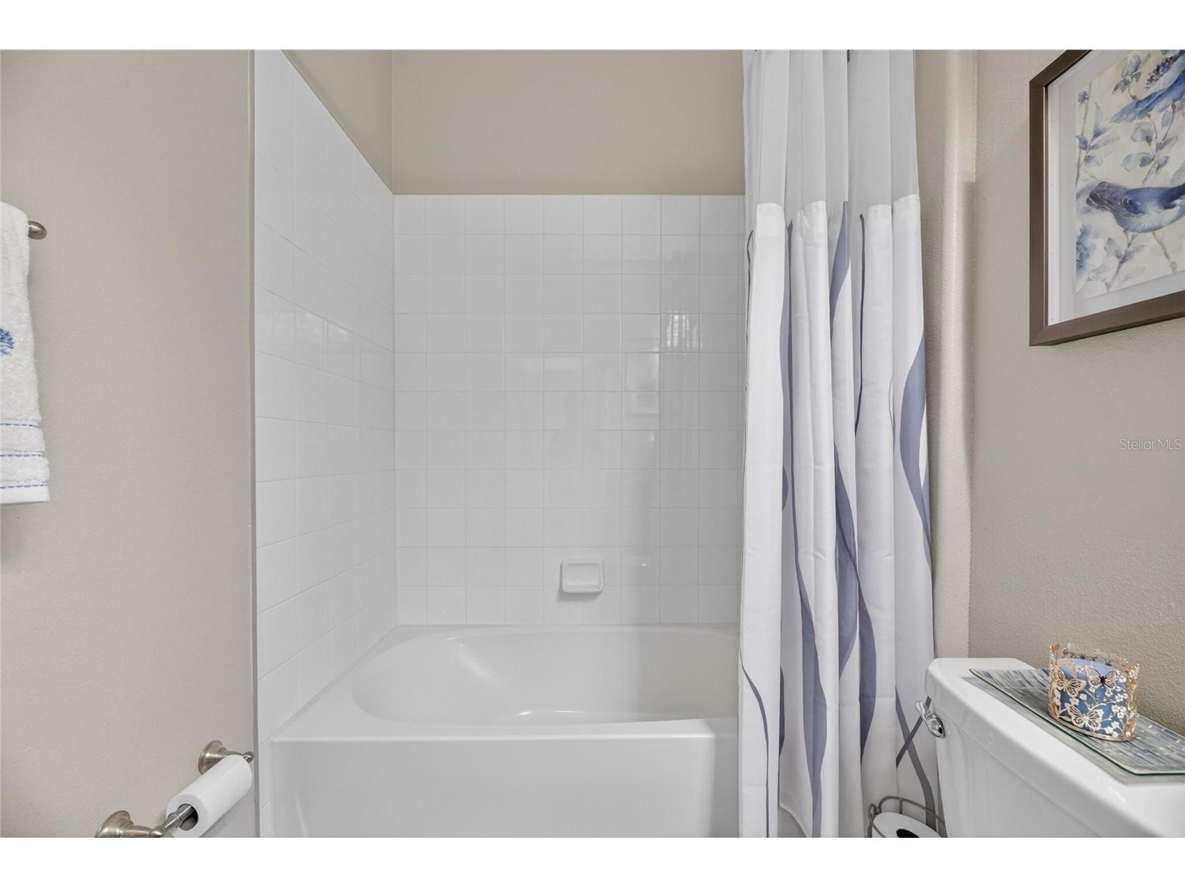 10802 Great Cormorant Drive Riverview FL 33579 TB8513069 image33