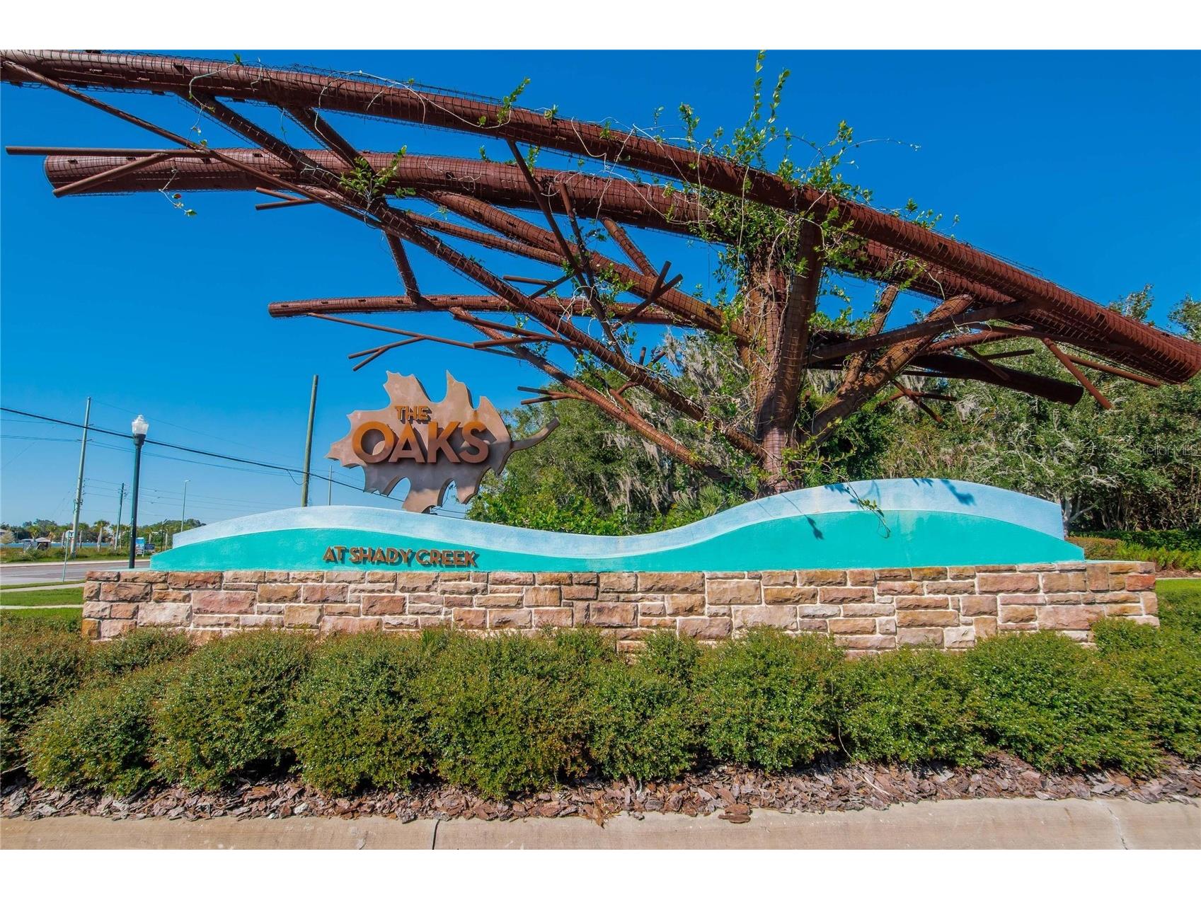 10802 Great Cormorant Drive Riverview FL 33579 TB8513069 image53