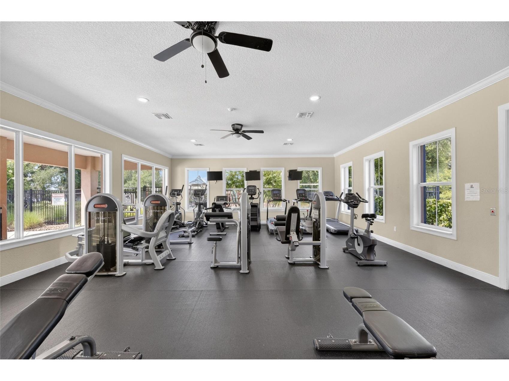 10802 Great Cormorant Drive Riverview FL 33579 TB8513069 image58