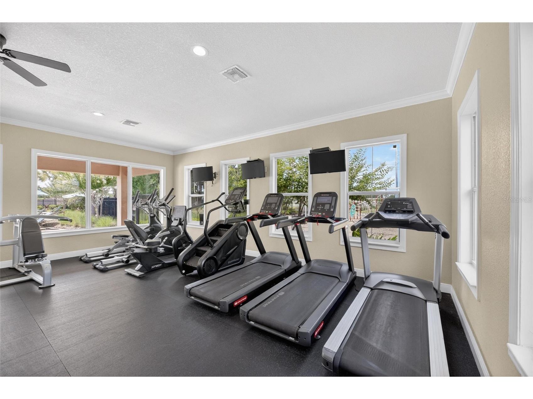 10802 Great Cormorant Drive Riverview FL 33579 TB8513069 image60