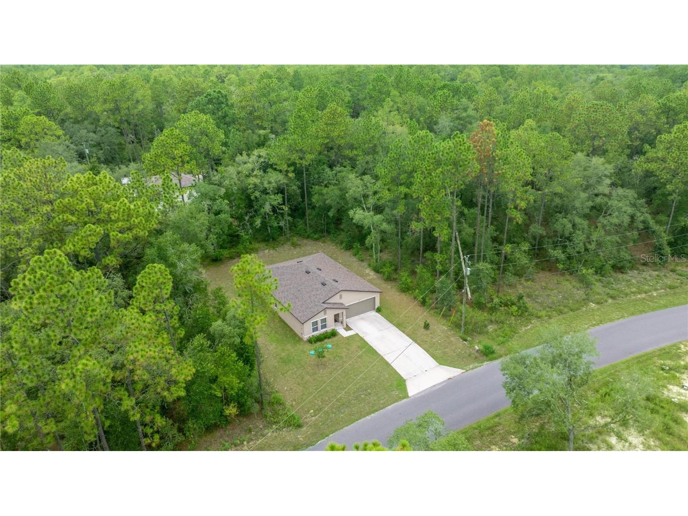 10802 N Haitian Drive Citrus Springs FL 34434 OM707869 image23