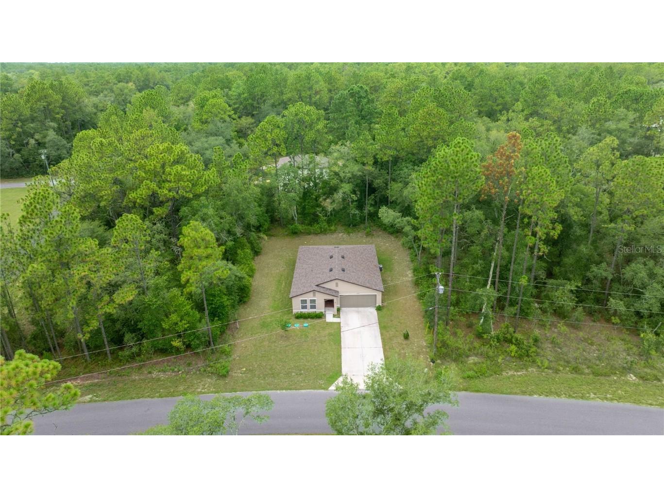 10802 N Haitian Drive Citrus Springs FL 34434 OM707869 image5