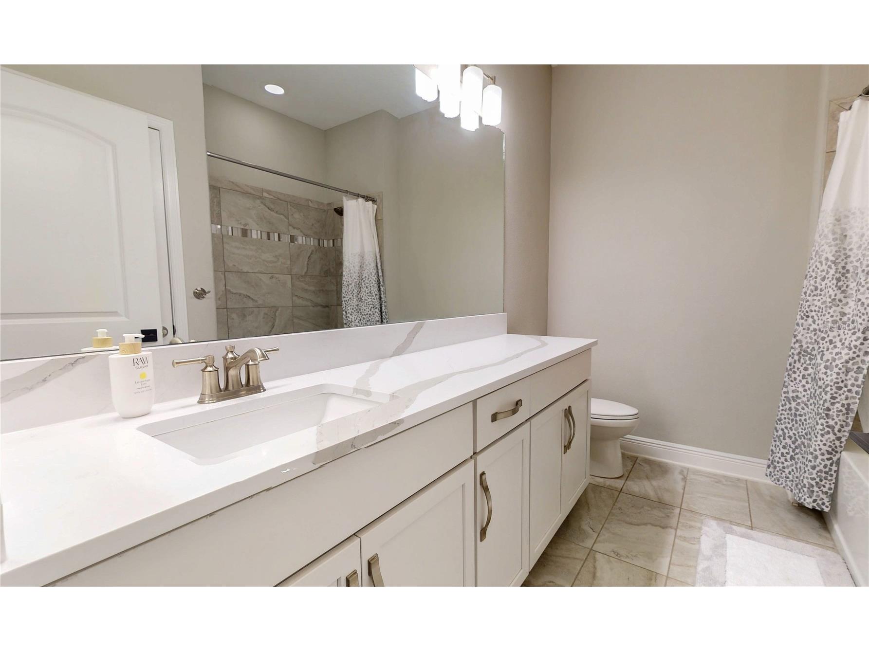 10802 Rolling Moss Road Tampa FL 33647 TB8506032 image11