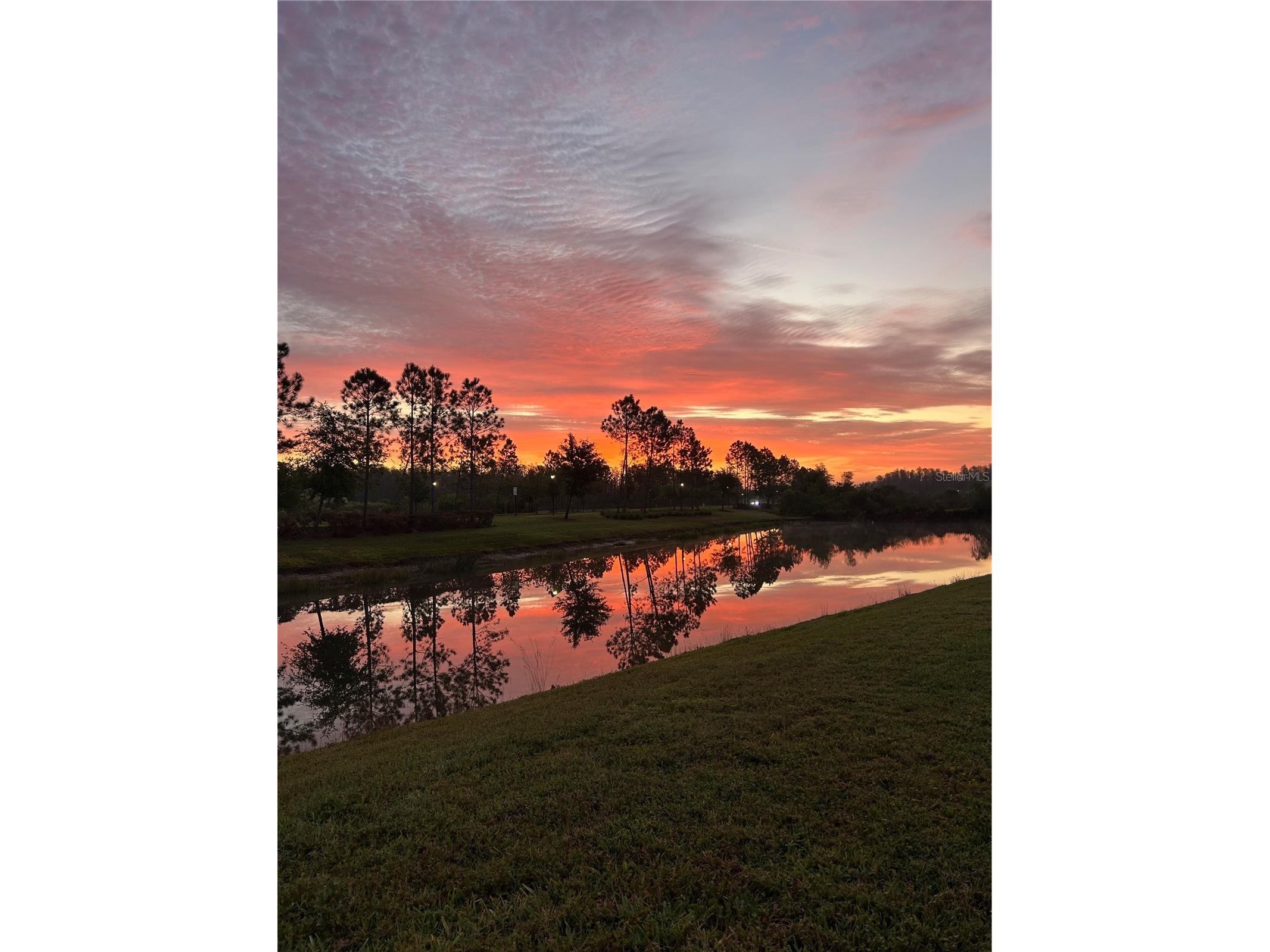 10802 Rolling Moss Road Tampa FL 33647 TB8506032 image18