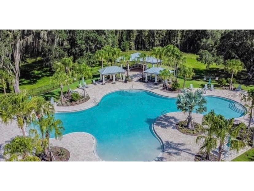 10802 Rolling Moss Road Tampa FL 33647 TB8506032 image21