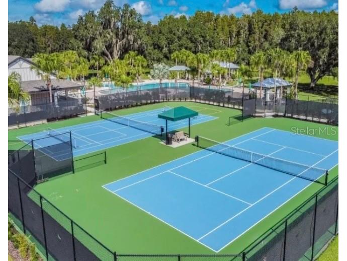 10802 Rolling Moss Road Tampa FL 33647 TB8506032 image24