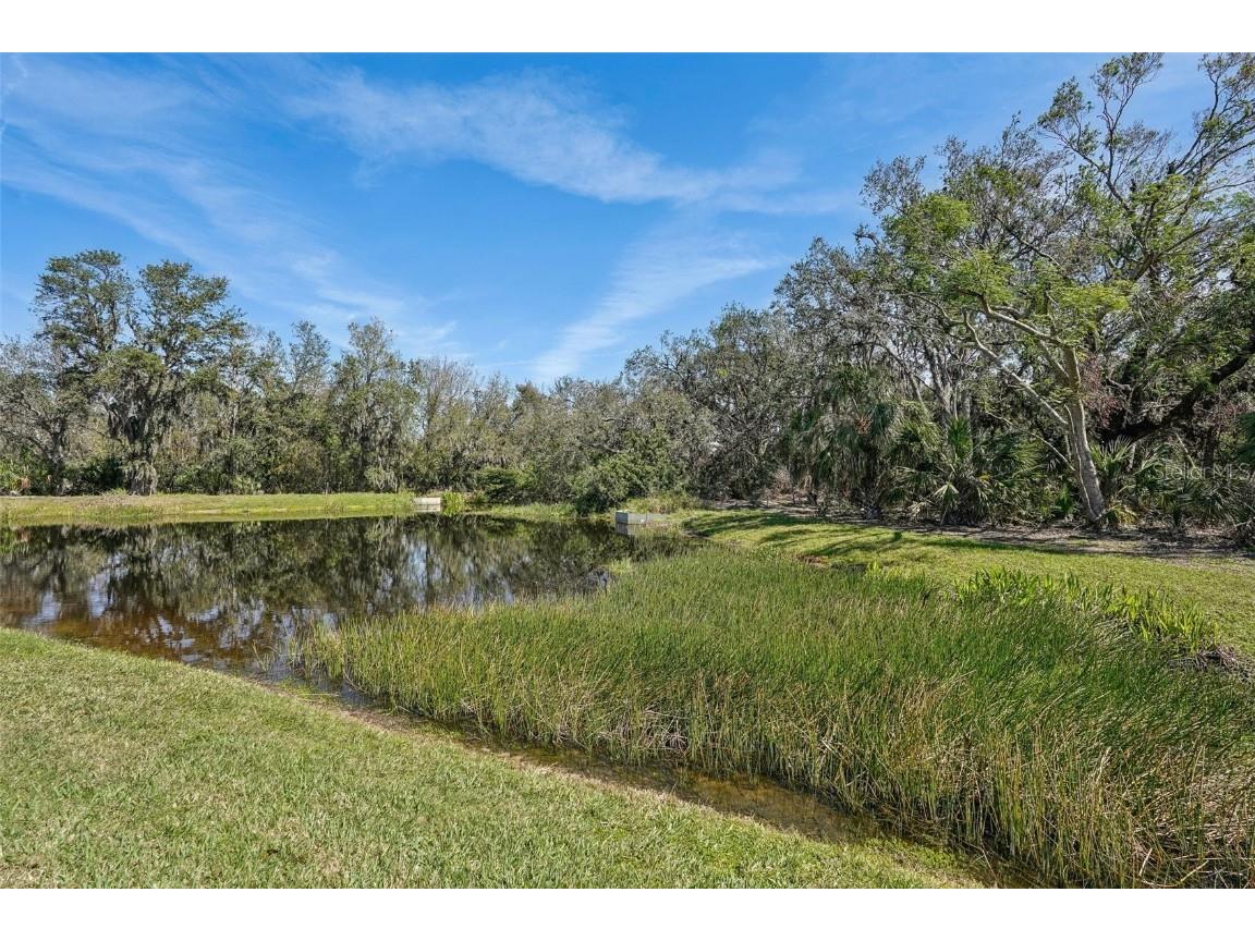 10802 Seasons Way Palmetto FL 34221 A4677078 image39