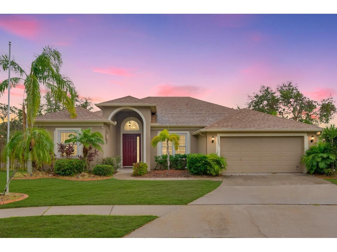10803 Australian Pine Drive Riverview FL 33579 TB8319020 image1