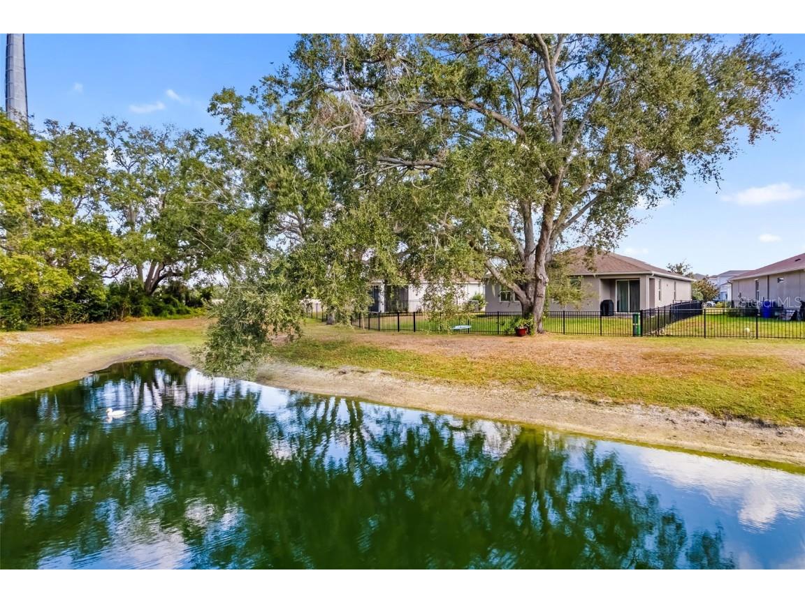 10804 Whitland Grove Drive Riverview FL 33578 A4673480 image35