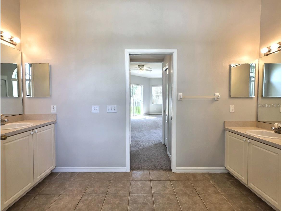 10805 Australian Pine Drive Riverview FL 33579 TB8498649 image11
