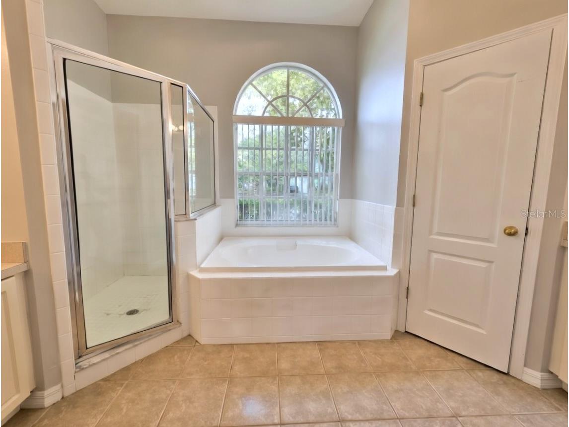 10805 Australian Pine Drive Riverview FL 33579 TB8498649 image12