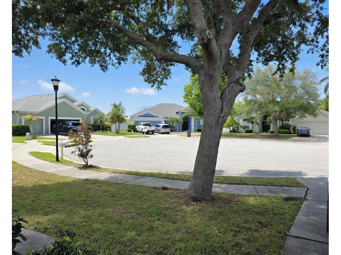 10805 Australian Pine Drive Riverview FL 33579 TB8498649 image14
