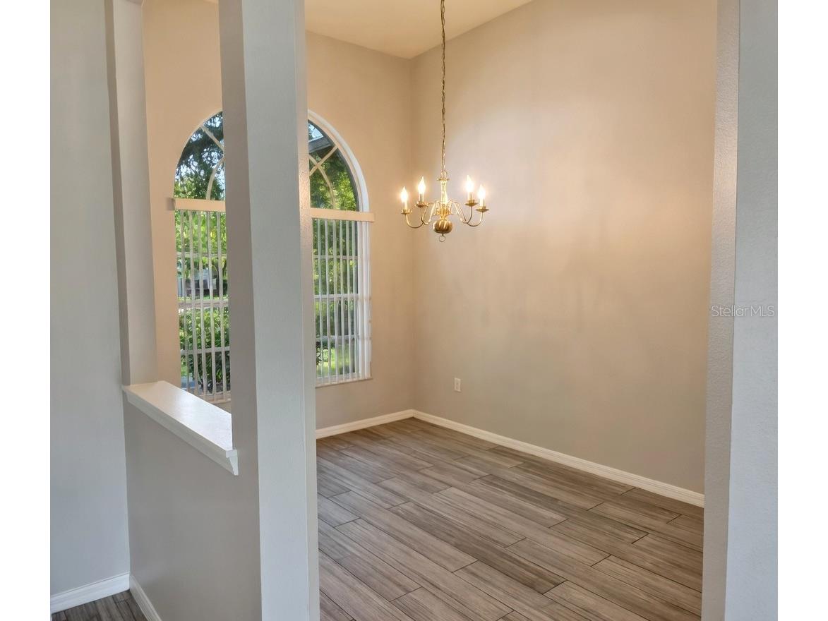 10805 Australian Pine Drive Riverview FL 33579 TB8498649 image3