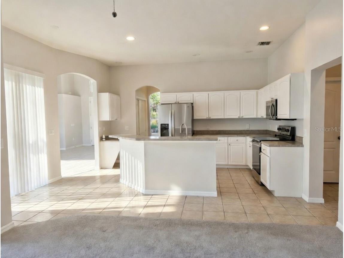 10805 Australian Pine Drive Riverview FL 33579 TB8498649 image4