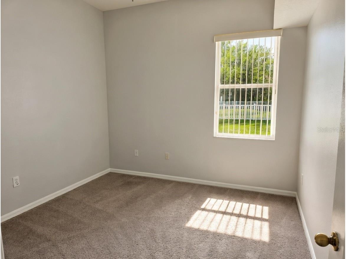 10805 Australian Pine Drive Riverview FL 33579 TB8498649 image6