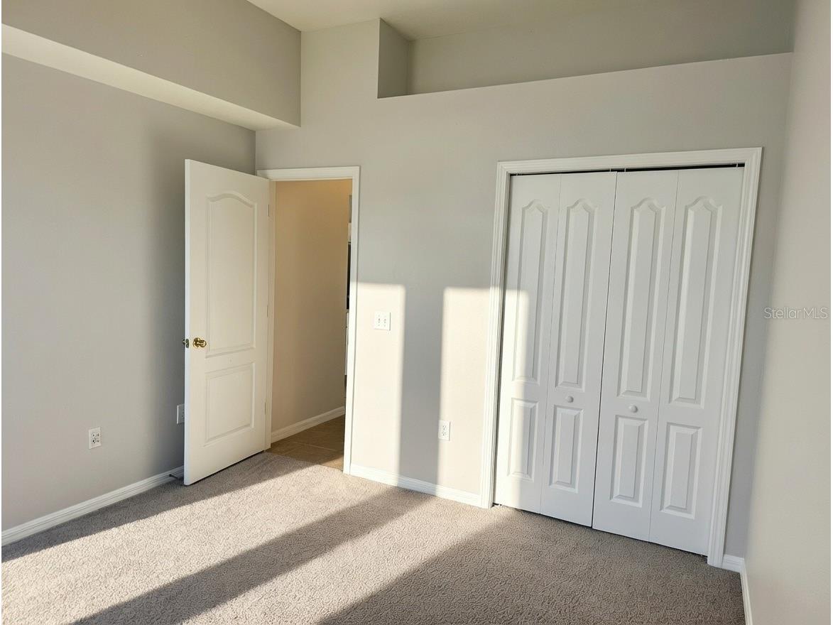 10805 Australian Pine Drive Riverview FL 33579 TB8498649 image7