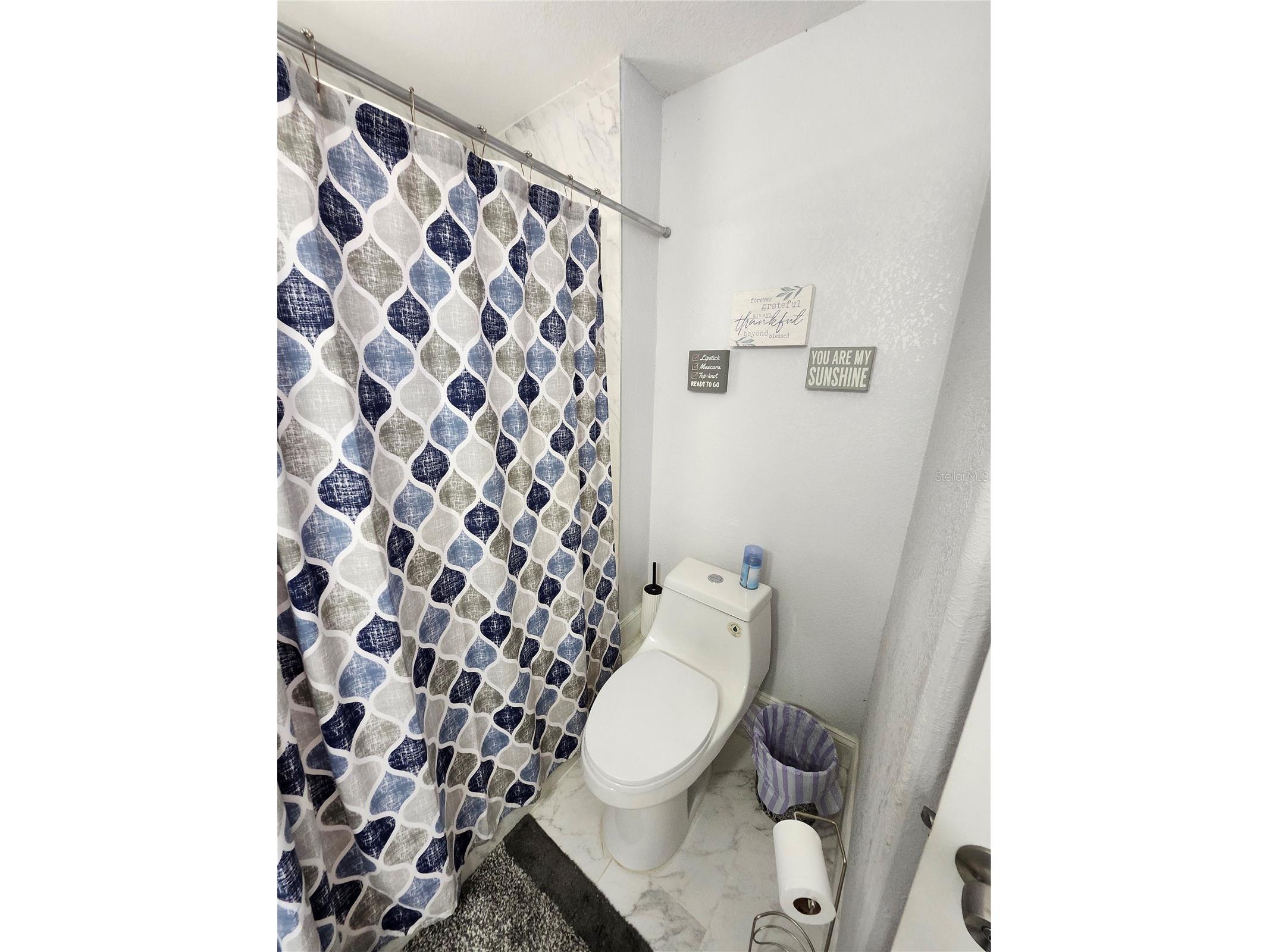 10805 Desoto Road Riverview FL 33578 TB8467410 image13