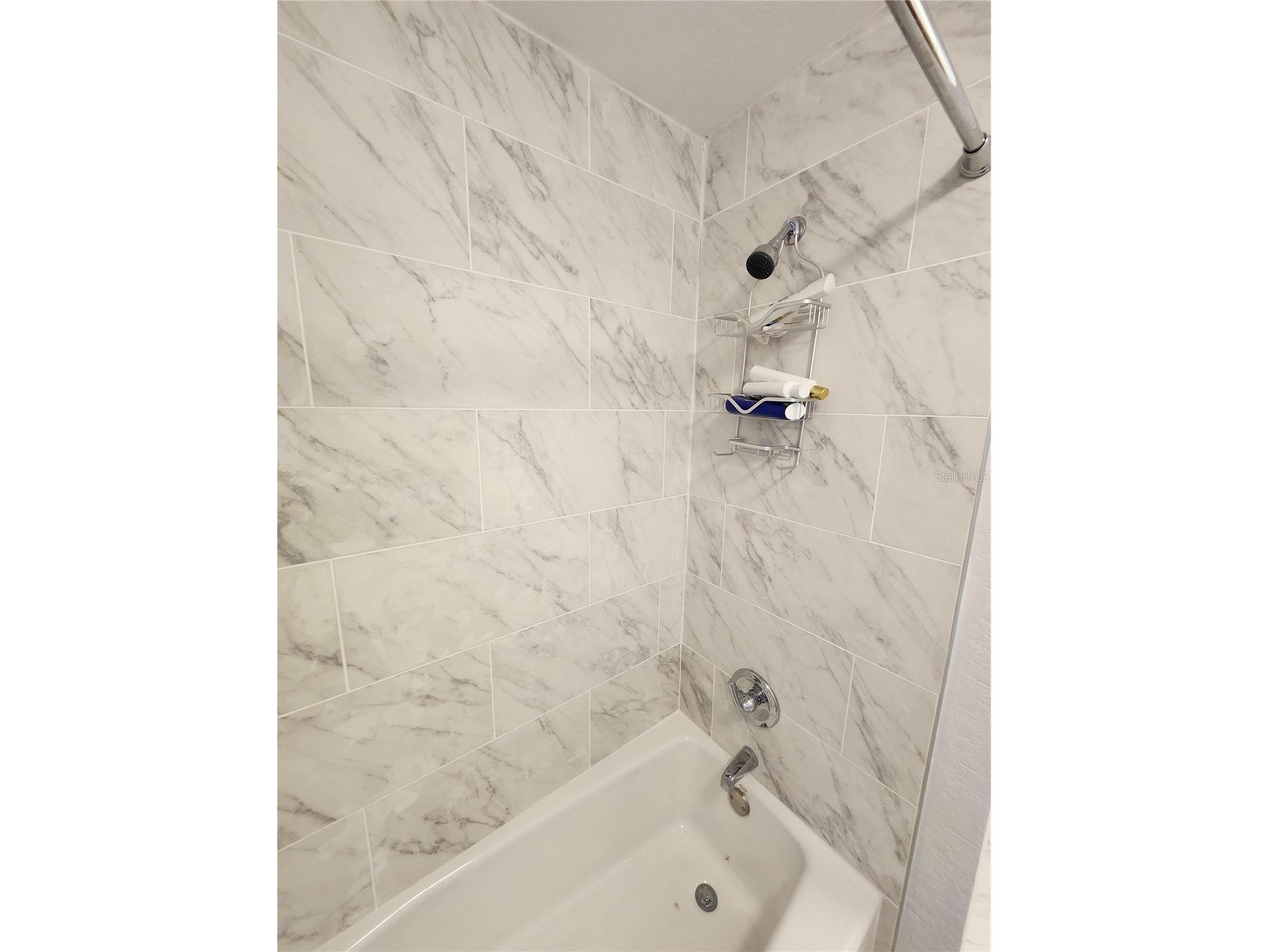 10805 Desoto Road Riverview FL 33578 TB8467410 image18