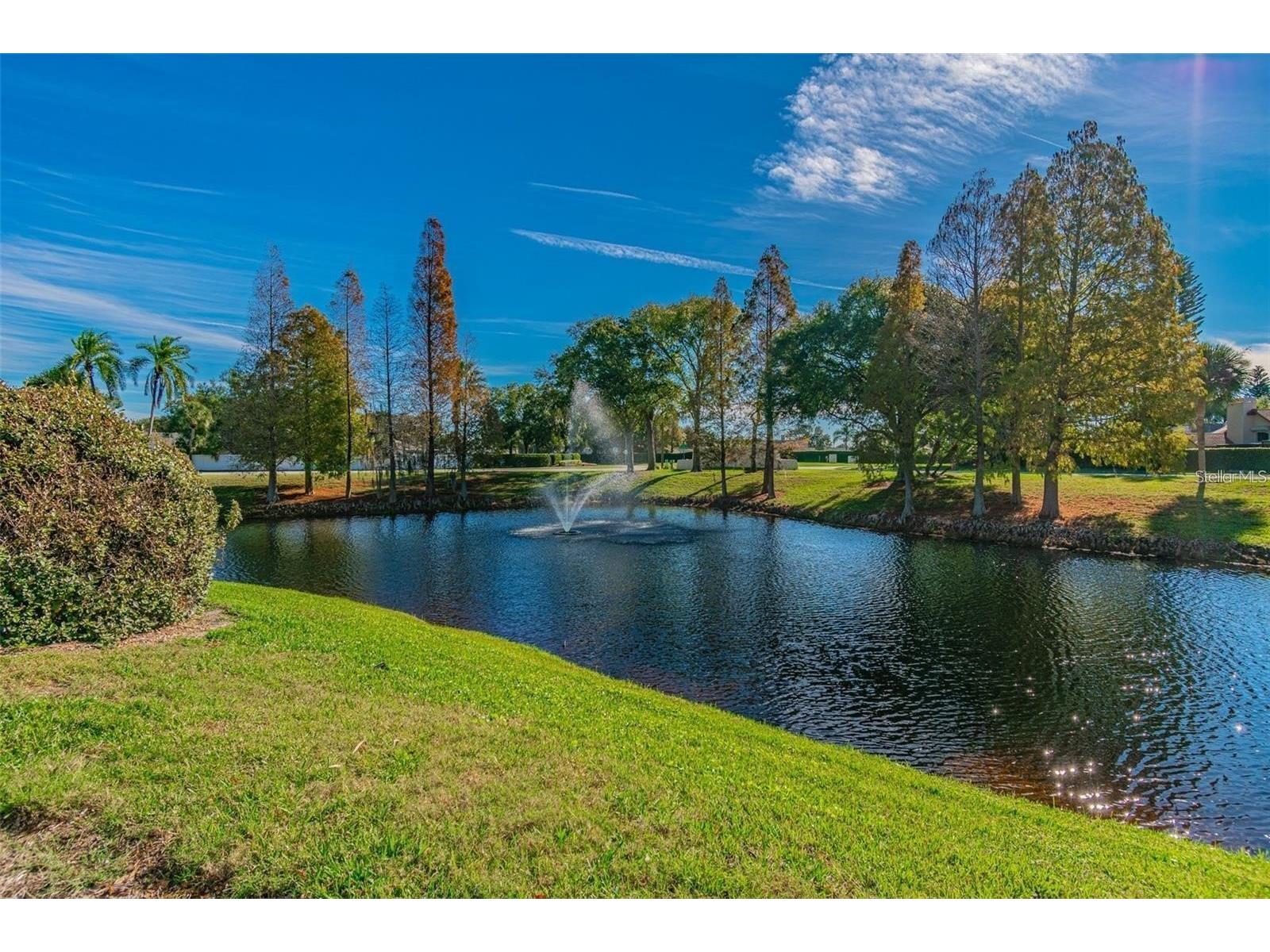 10805 Keys Gate Drive Riverview FL 33579 TB8473693 image32