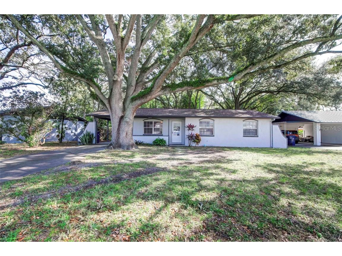 10805 N Ashley Street Tampa FL 33612 T3499661 image1