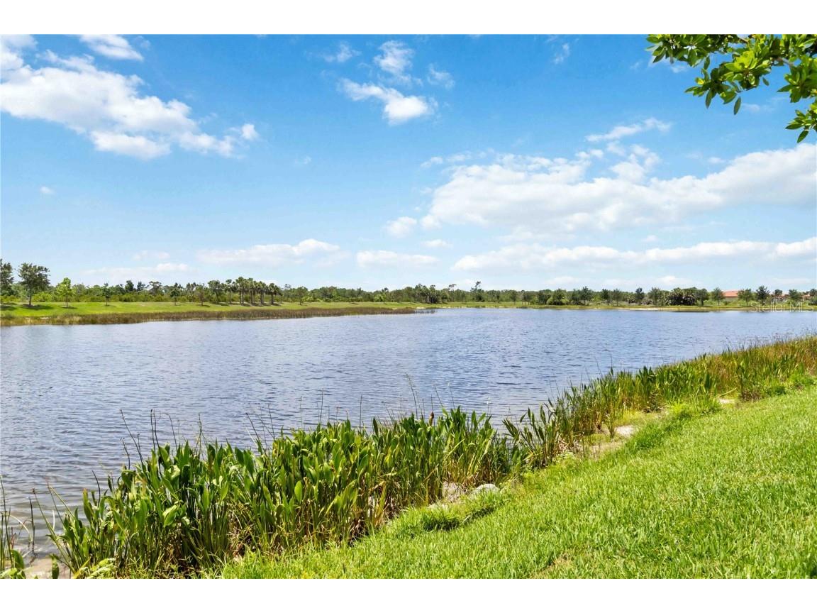 10805 Tarflower Drive #101 Venice FL 34293 D6143300 image43