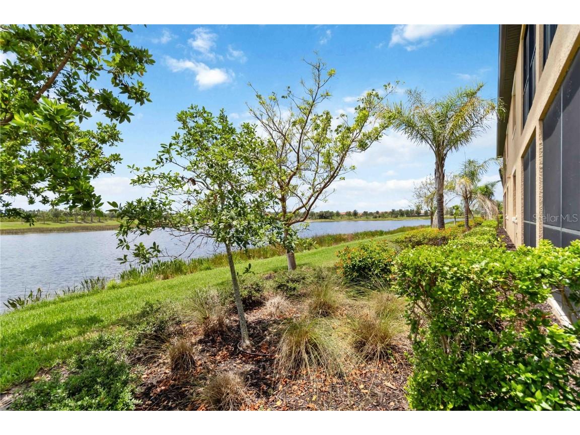 10805 Tarflower Drive #101 Venice FL 34293 D6143300 image45