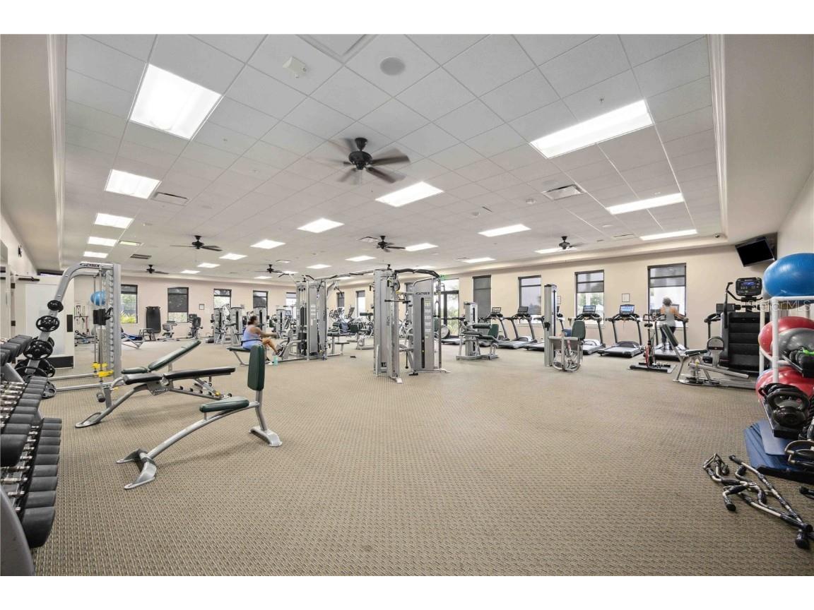 10805 Tarflower Drive #101 Venice FL 34293 D6143300 image67