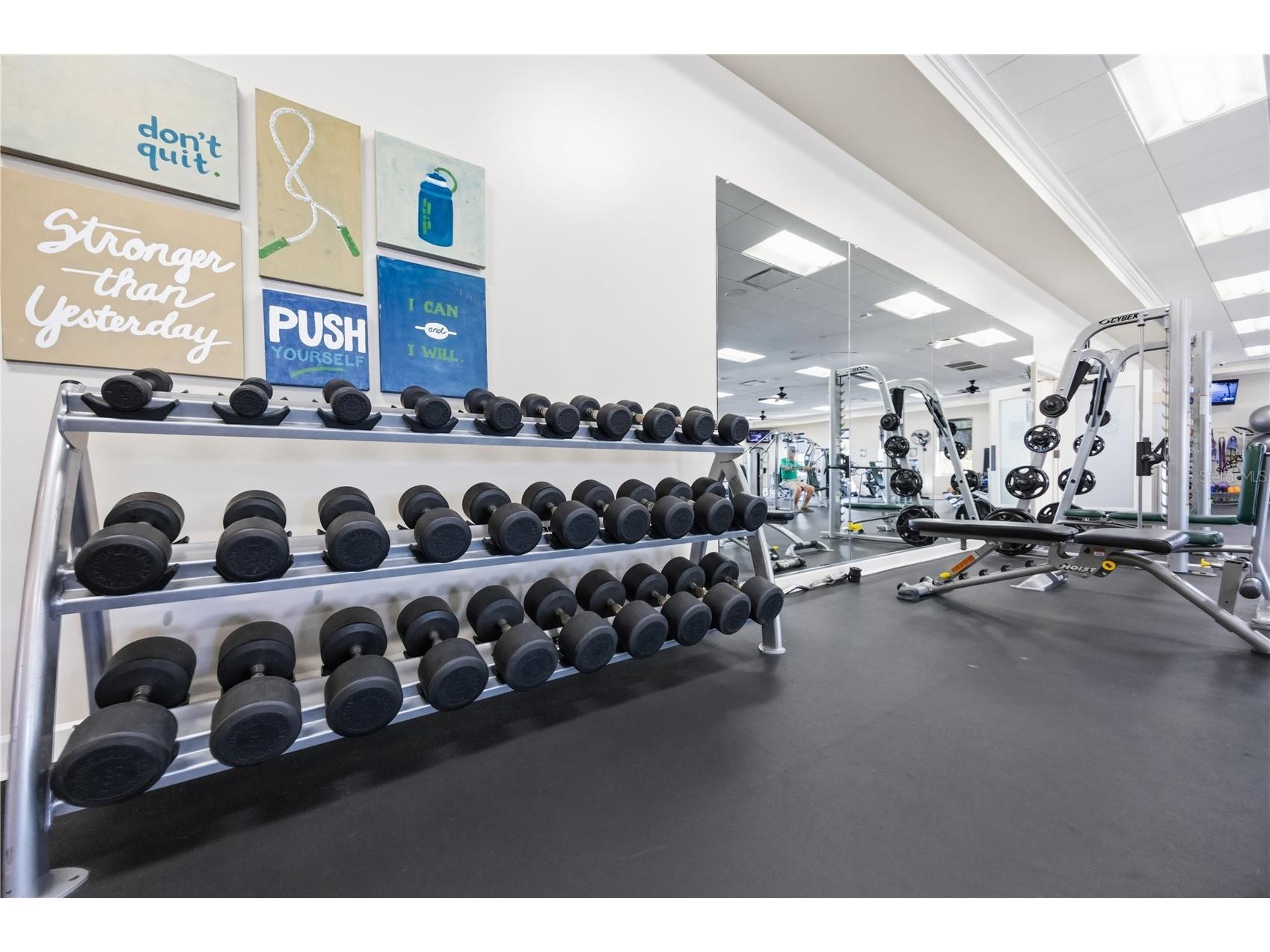 10805 Tarflower Drive #101 Venice FL 34293 D6147621 image86