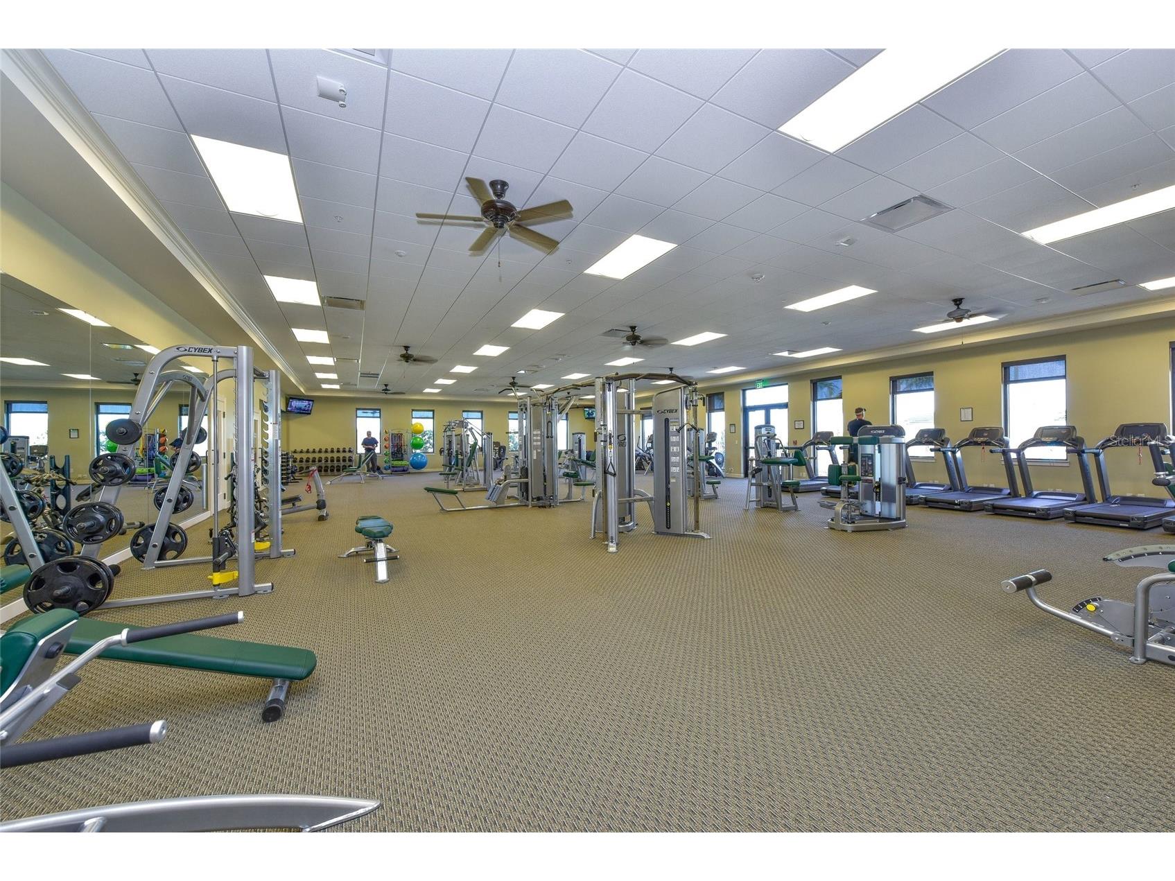 10805 Tarflower Drive #102 Venice FL 34293 A4686103 image67