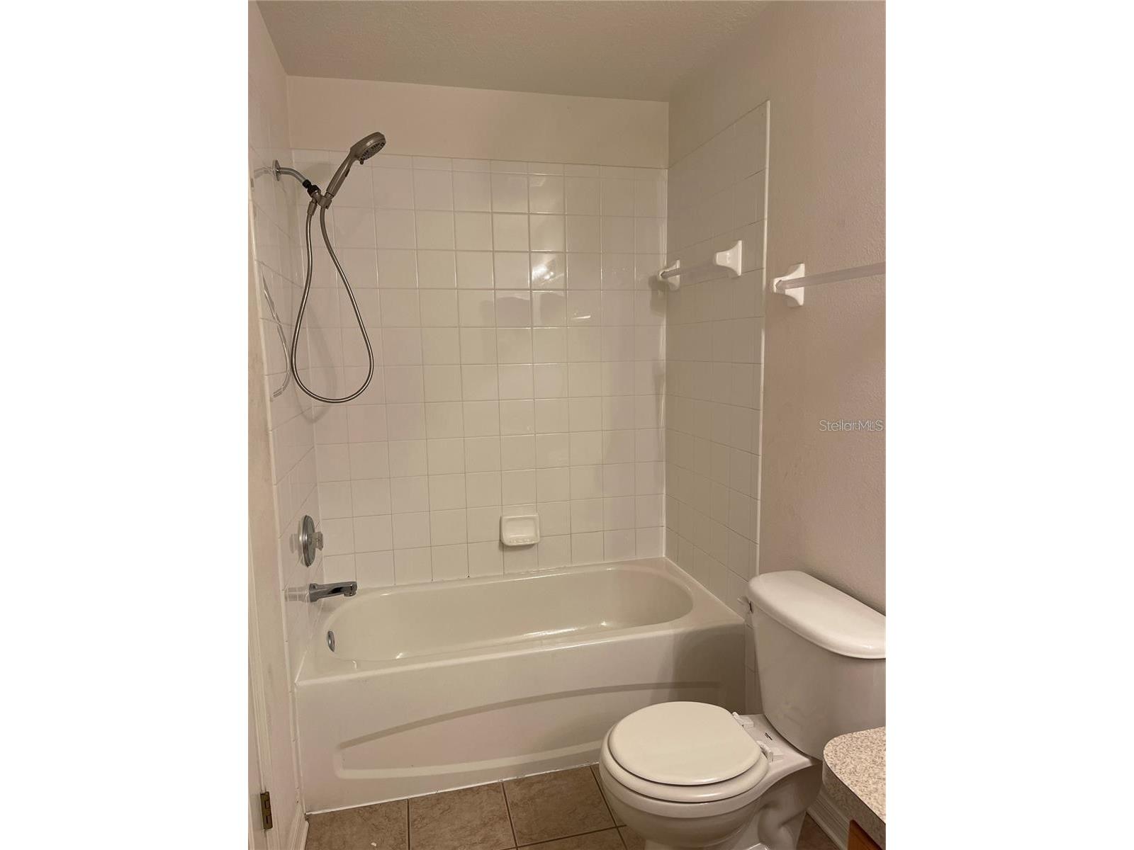 10806 Brickside Court Riverview FL 33579 TB8503198 image10