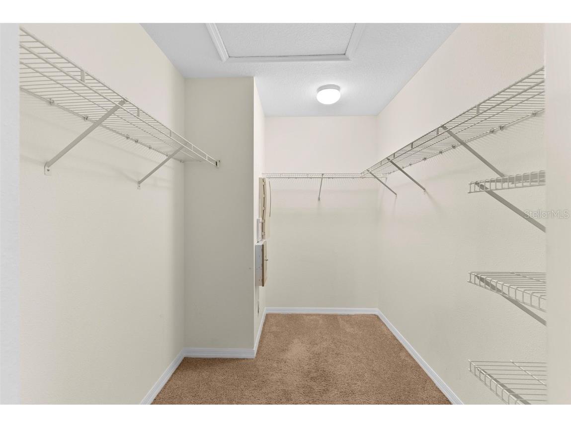 10806 Spring Mountain Place Tampa FL 33626 L4957010 image10