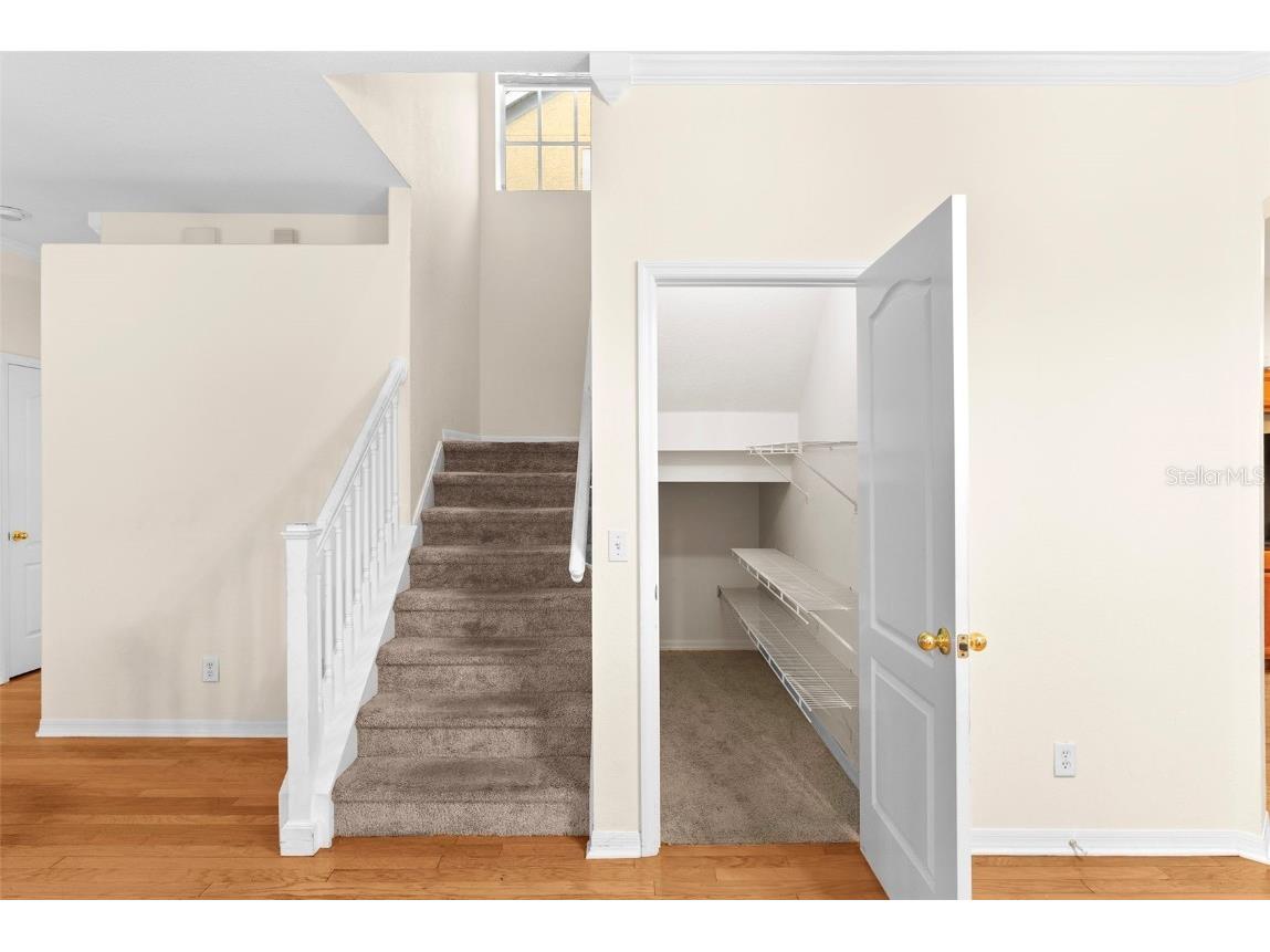 10806 Spring Mountain Place Tampa FL 33626 L4957010 image11