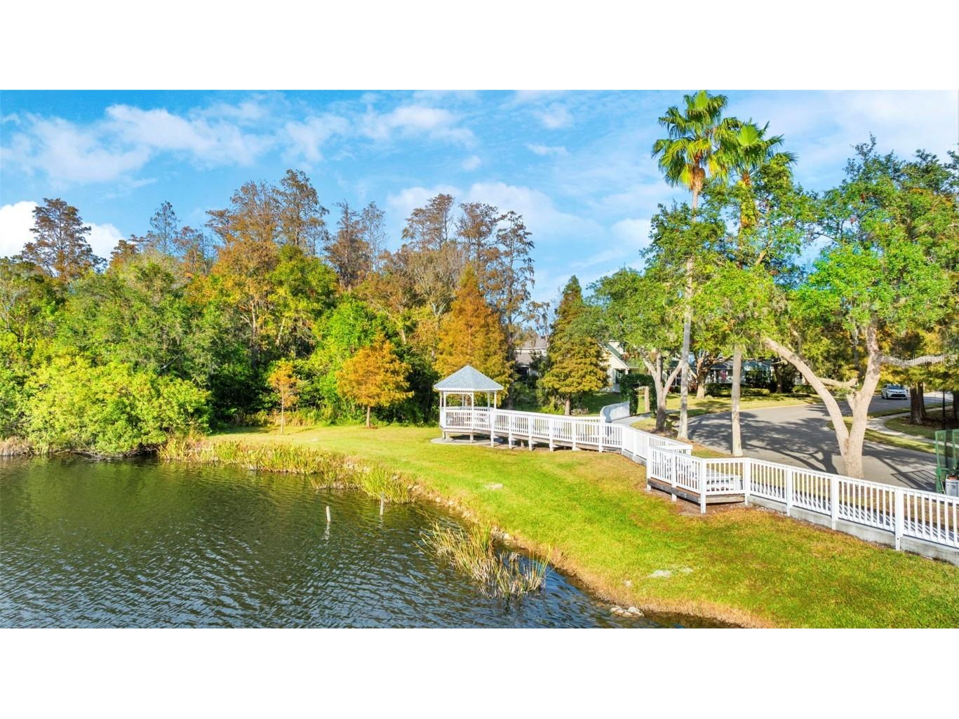 10806 Spring Mountain Place Tampa FL 33626 L4957010 image18