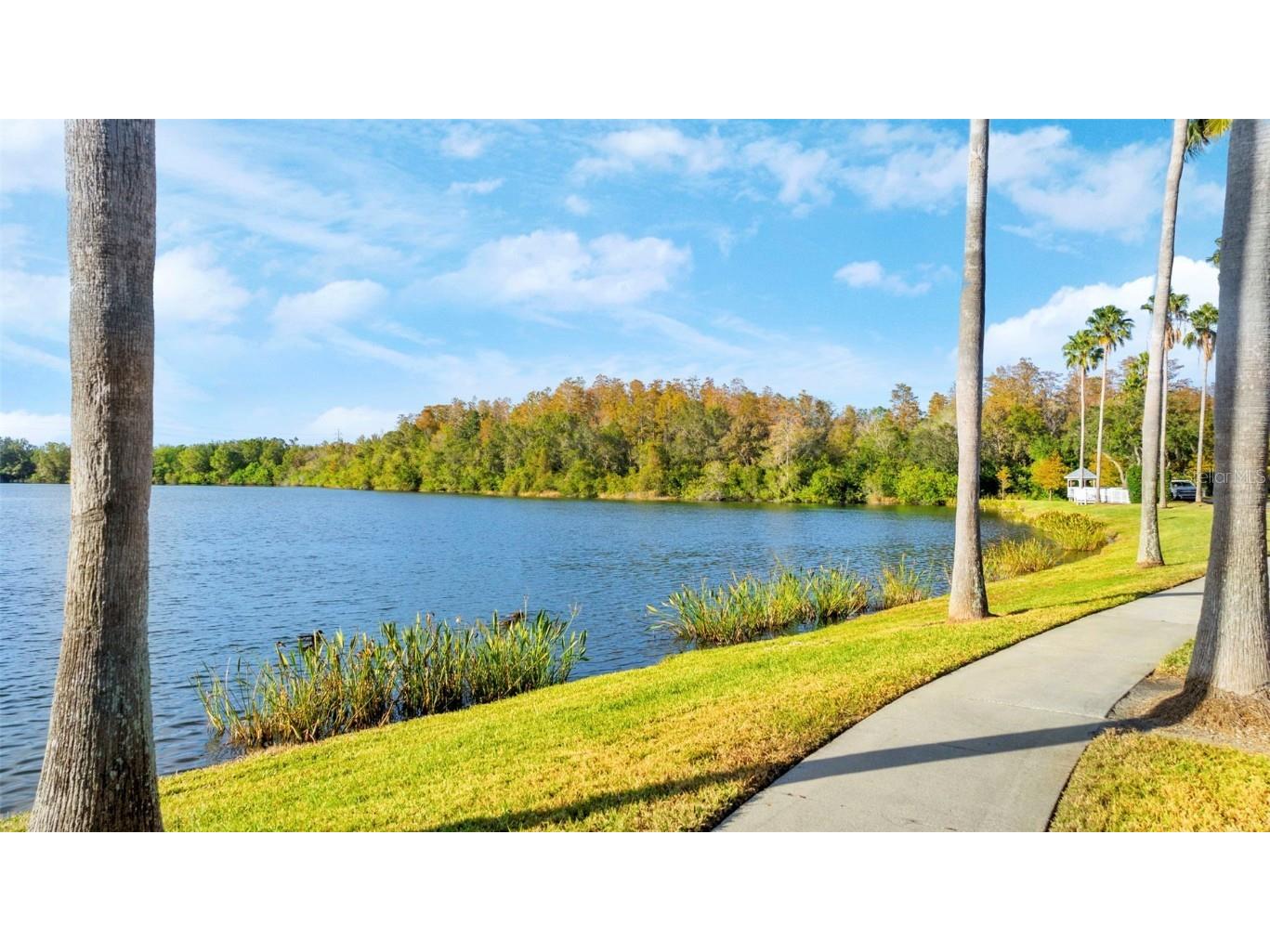 10806 Spring Mountain Place Tampa FL 33626 L4957010 image19