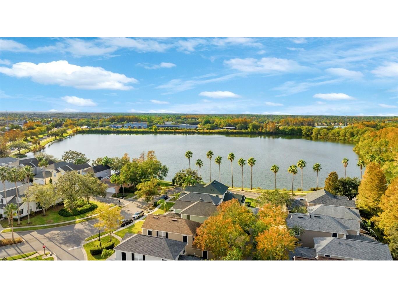 10806 Spring Mountain Place Tampa FL 33626 L4957010 image20