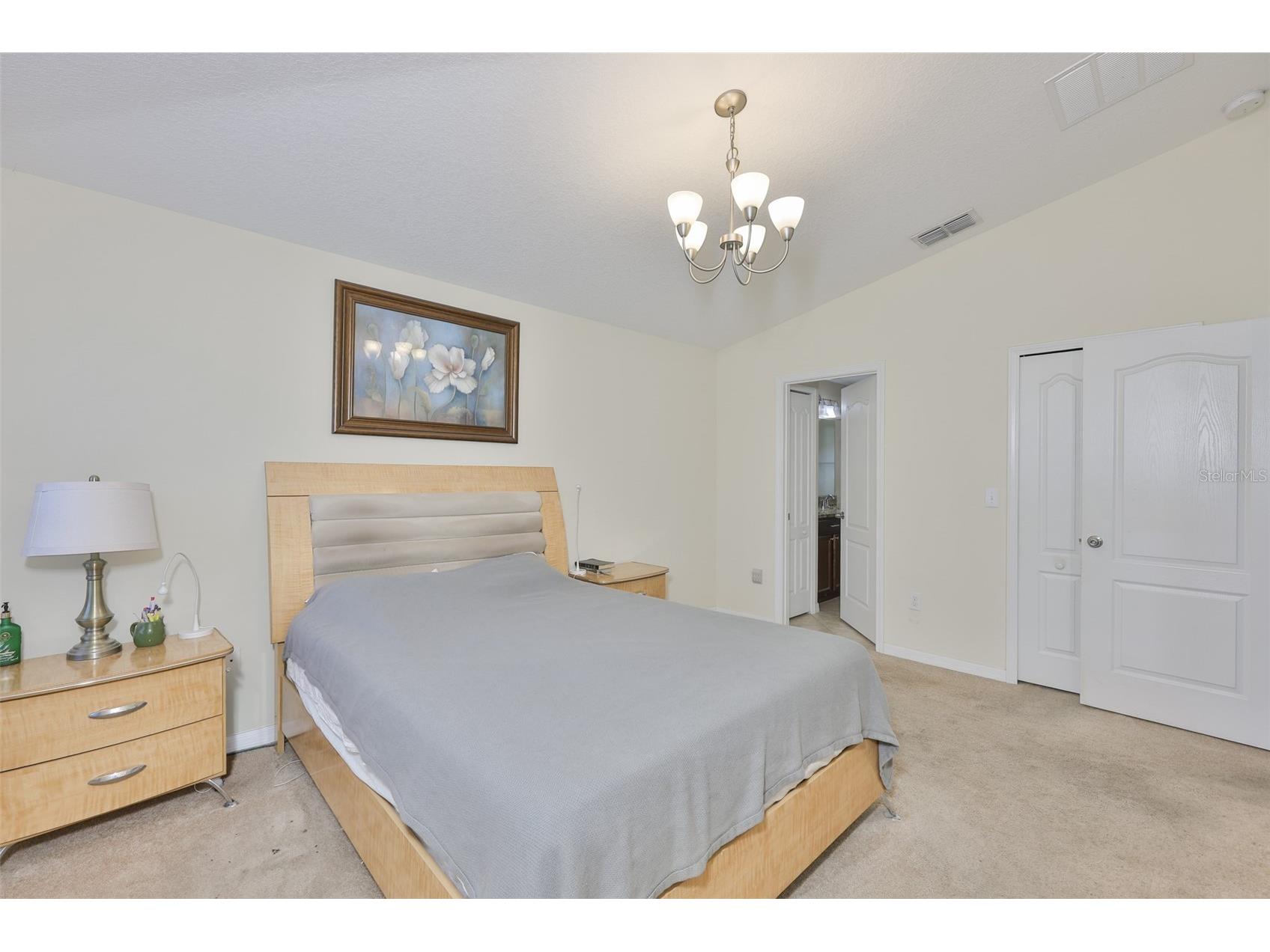 10806 Whitecap Drive Riverview FL 33579 TB8493669 image22
