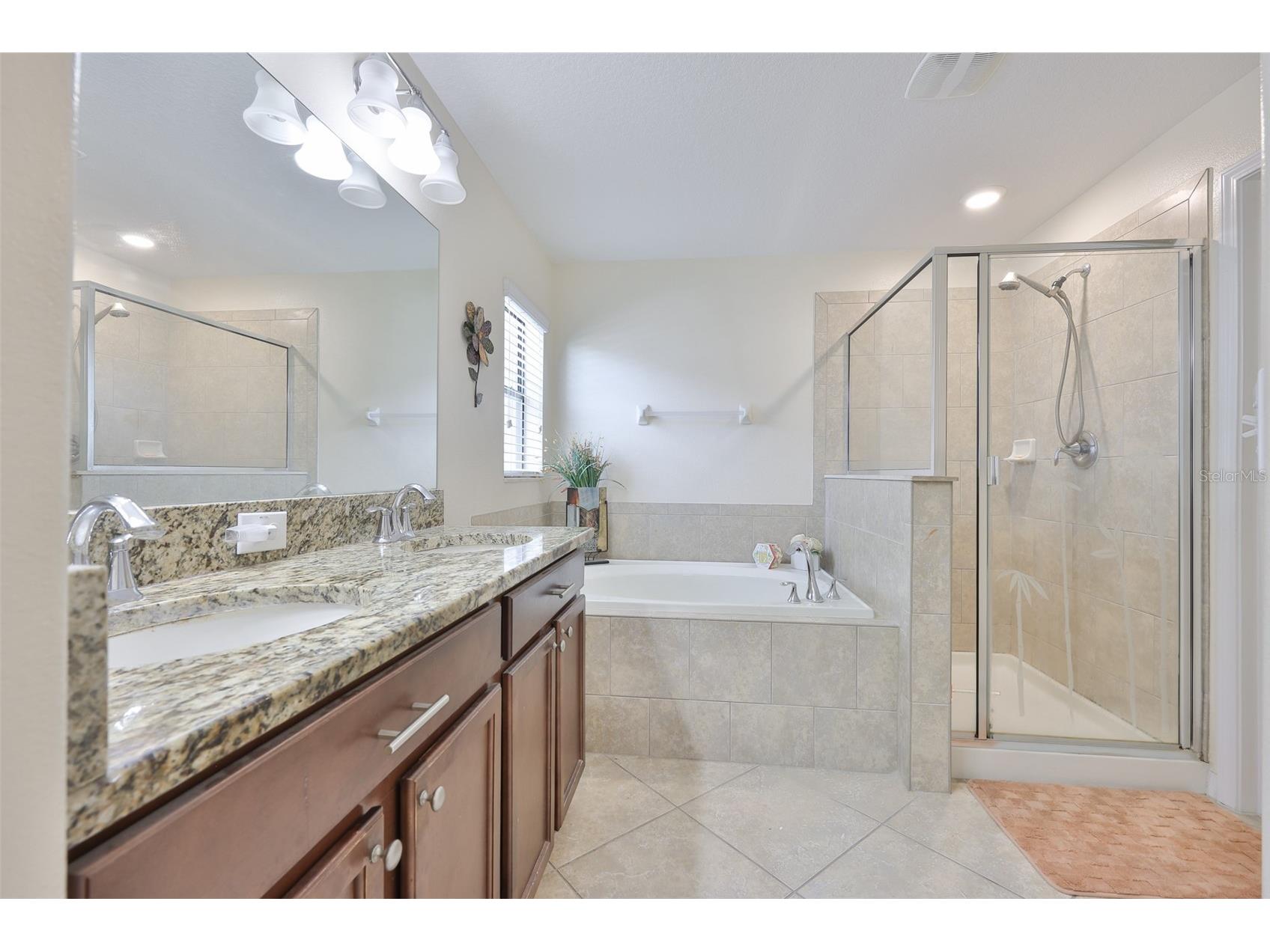 10806 Whitecap Drive Riverview FL 33579 TB8493669 image24