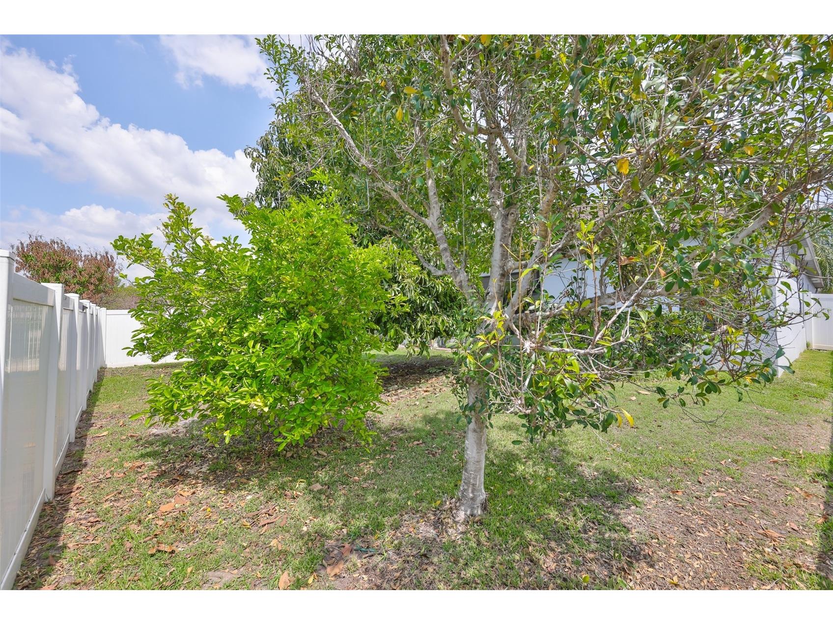 10806 Whitecap Drive Riverview FL 33579 TB8493669 image39