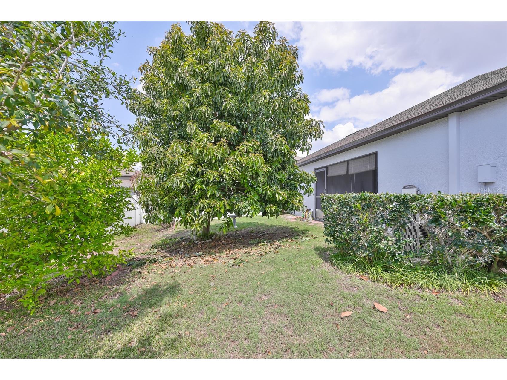 10806 Whitecap Drive Riverview FL 33579 TB8493669 image40