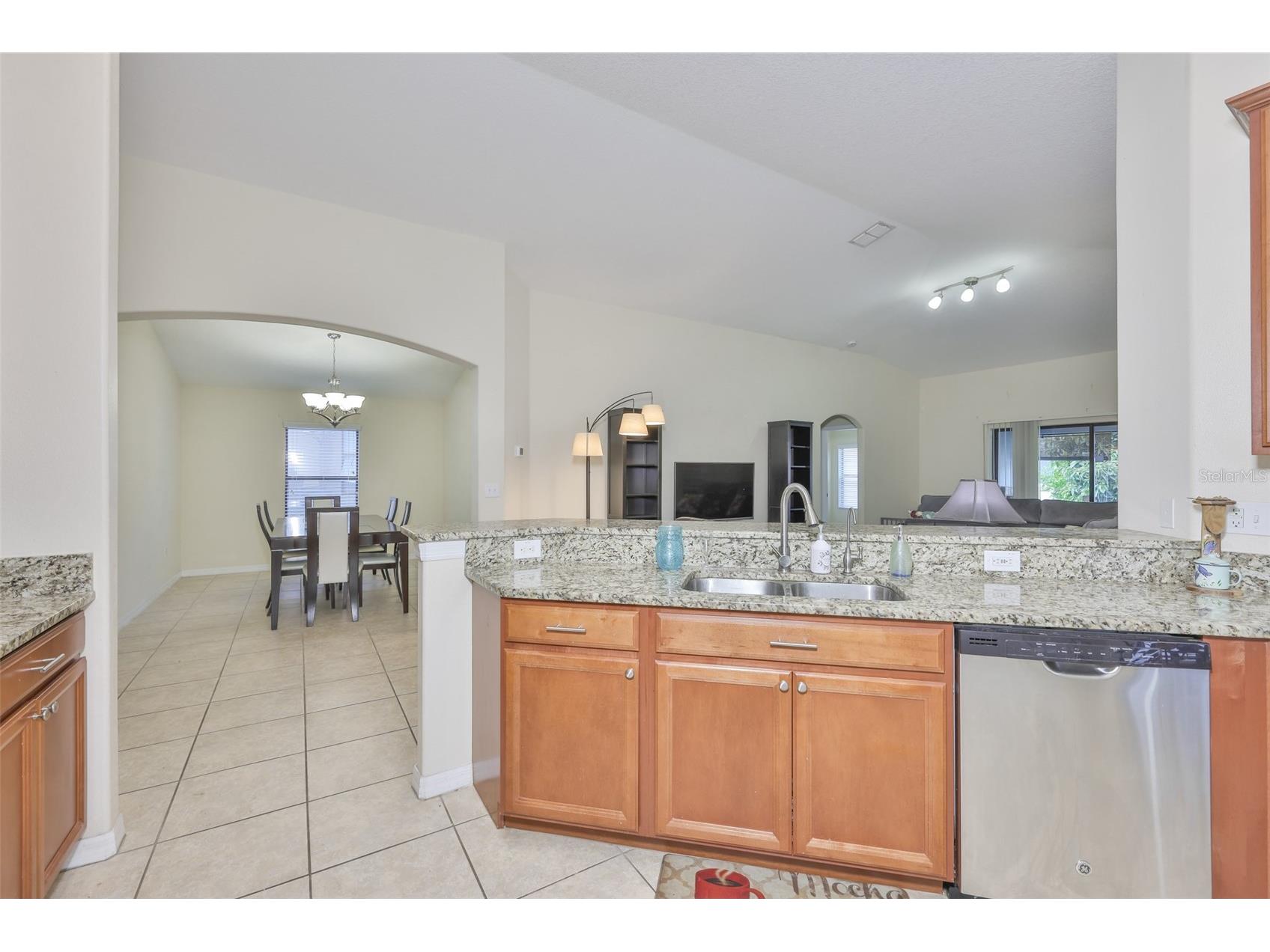 10806 Whitecap Drive Riverview FL 33579 TB8493669 image8