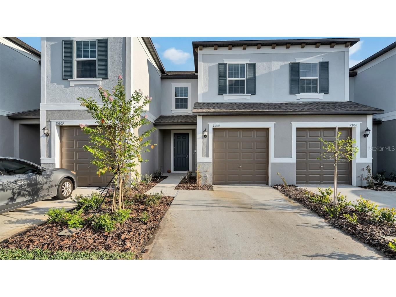 10807 Fowlers Bluff Court Tampa FL 33647 T3552920 image1