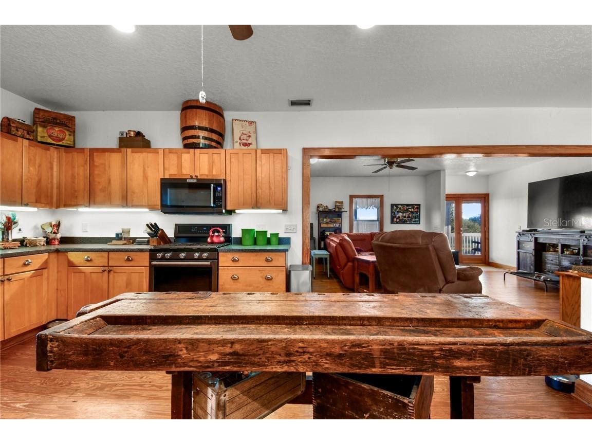 10807 NW Lily County Line Road Ona FL 33865 A4668379 image54