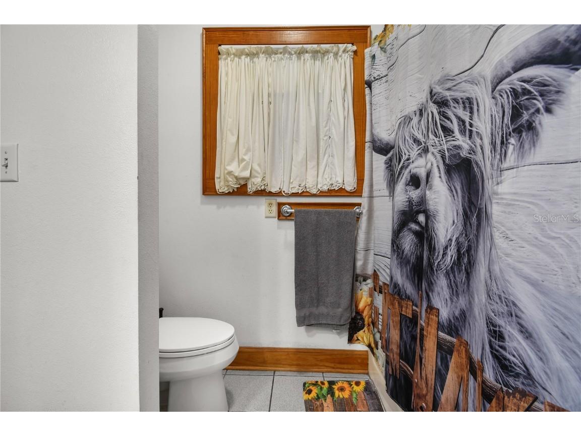 10807 NW Lily County Line Road Ona FL 33865 A4668379 image66